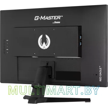 Игровой монитор Iiyama G-Master Red Eagle GB2470HSU-B6 картинка 9
